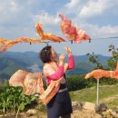 김수자농장 이미지