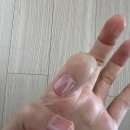 엄지손톱화장품