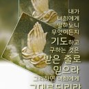 새벽이슬 이미지