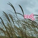 행복의료기 이미지