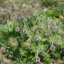 곤양축구장 이미지