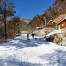 산삼자연휴양림 이미지