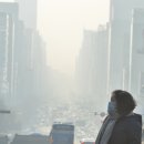 강남대로 이미지