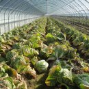 구포1동-5 이미지