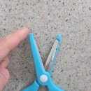 (주)화신 | ✂️아이 첫 가위로 딱!화신 755 둥이몽이 아동가위 후기