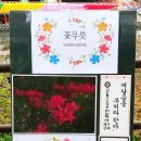 신보금장