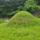 일선보신탕 이미지