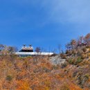 스카이워크(아리힐스) 이미지