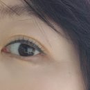 [김포] 운양동 속눈썹펌 잘하는 곳 오브유뷰티 후기