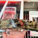 목포참홍어 이미지