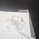 어반스케치 펜드로잉 이미지