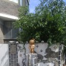 쌍우물로 이미지