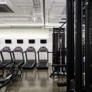 고릴라짐 이미지