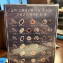 고반식당춘천후평점