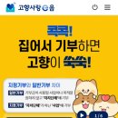 연말 전 할일 : 고향사랑기부제 고향사랑e음 천안시 소고기 답례품 추천 꿀팁