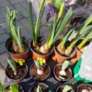 수정-135 이미지