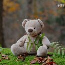 동삼장기요양기관 이미지