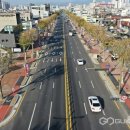 문화의 거리 및 명소화 거리 네이버블로그