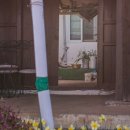 보리네집 이미지