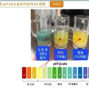 희수자연학교 아이들이 매일 먹는 밥! 즉정 도정한 현미, 백미, 황미에 관하여 이미지