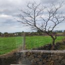 봉성노을담 이미지