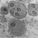 삼육오연합의원 이미지