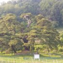 노송축사 이미지