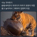 백제카 | 인간의 한계를 체험하는 11월 결산 !