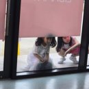 이빌리지영어학원 이미지