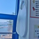 궁평항 횟집 자연산 모듬회에 소주한잔~바다뷰