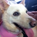 멍스퀘어 이미지