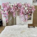 너와함개 이미지