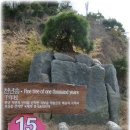 상수농장 이미지