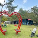 알파카 소풍 펜션 이미지