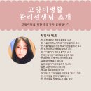 고양이 생활 호텔 이미지