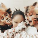 캣츠코리아 이미지