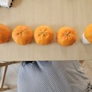 제주 하우스 레드향 🍊 첫 개시하여 선생님들께 드립니다 ! 비싸지만.. 최대한 저렴하게 판매 합니다!!!^^(맛, 품질 보장 👍 ) 이미지