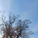 죽동마을회관앞 이미지