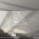 스테이레올 이미지