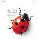 에스티환경 이미지