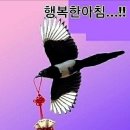 메세지 이미지