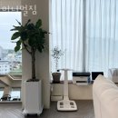 미니멀짐 이미지