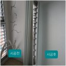 엘가바이오