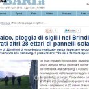 현지태양광발전소 이미지