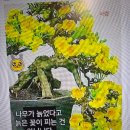 노년의 보름달 이미지