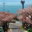 실안소공원 이미지