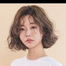 티는헤어(T=헤어)