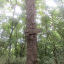 장원남산길 이미지