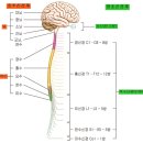 PNS정보통신 이미지