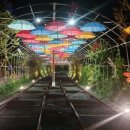 청도레일바이크 이미지